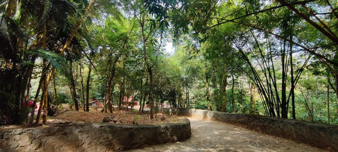 Padinjarathara Clay Resort By Bestinn Leisure - Wayanad المظهر الخارجي الصورة