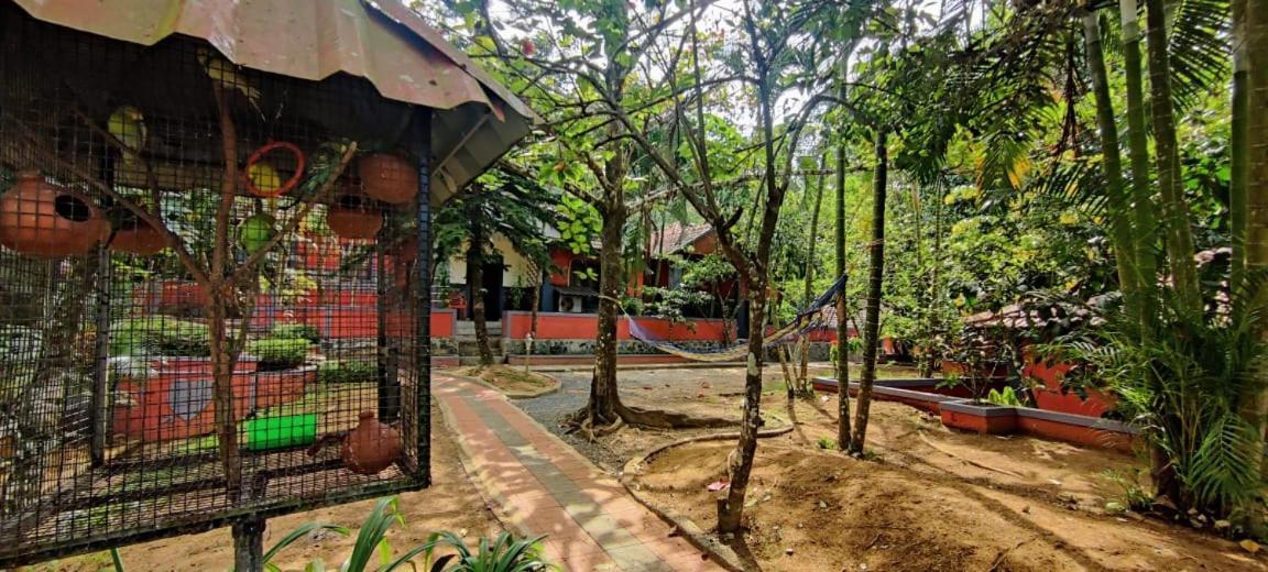 Padinjarathara Clay Resort By Bestinn Leisure - Wayanad المظهر الخارجي الصورة