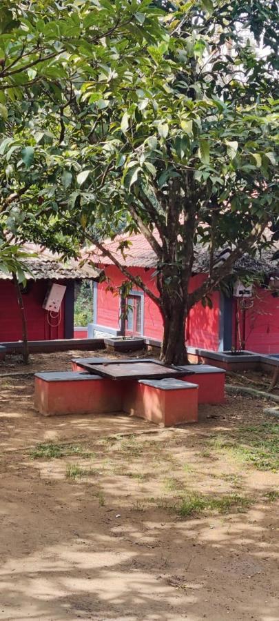 Padinjarathara Clay Resort By Bestinn Leisure - Wayanad المظهر الخارجي الصورة